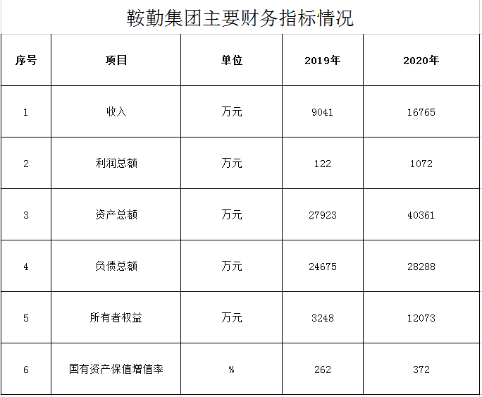 好彩客集团2019年度-2020年度财务指标情况